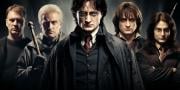 Kvíz: Která postava z Harryho Pottera by byla tvým hlavním sokem?