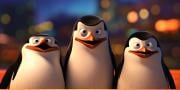 Frågesport: Vilken pingvin från Madagaskar är du?