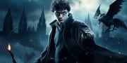 Quiz: Vilket magiskt väsen från Harry Potter är du?